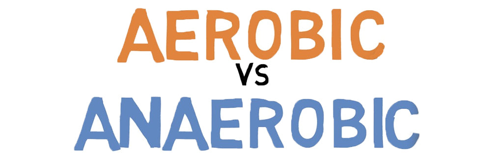 Aerobic or Anaerobic
